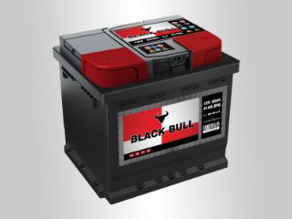 Slika 12V050L BULL Black Bull