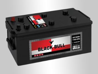 Slika 12V225L BULL Black Bull