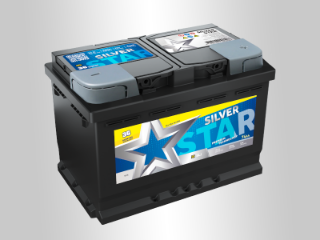 Slika 12V074D SS Silver Star