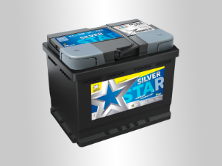 Slika 12V064D SS Silver Star