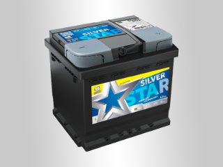 Slika 12V047D SS Silver Star