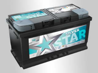 Slika 12V095D EFB SS Silver Star